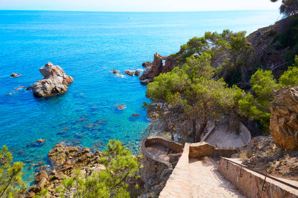 image de lloretdemar